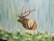 Picture of TerryV9246
