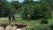 Picture of francois_458