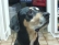 Picture of concan