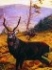 Picture of Sika Stag