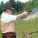 Picture of Piney Woods